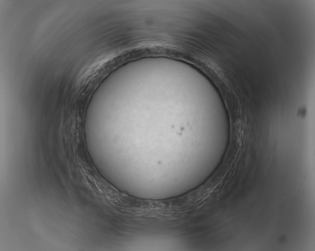 X0000116111111200912071316