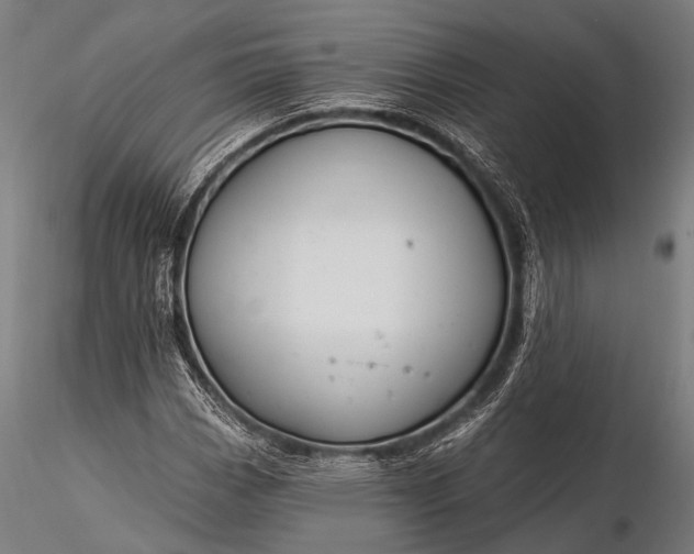 X0000116111113200912071316