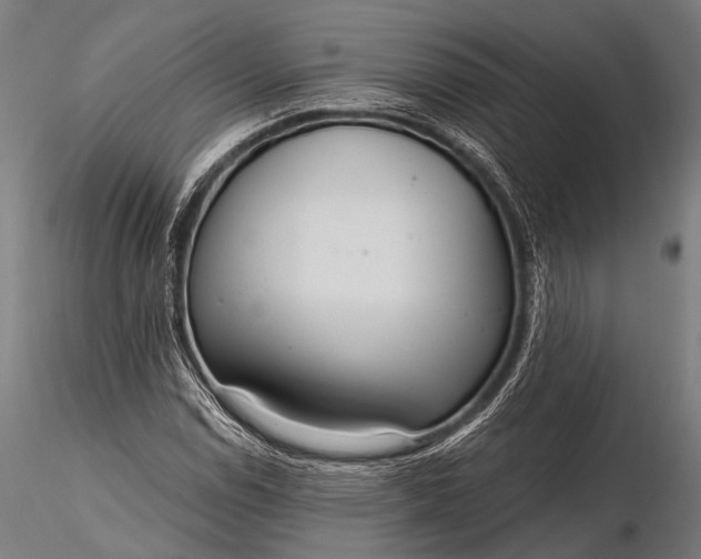 X0000116111114200912071316