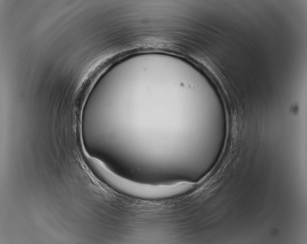 X0000116111115200912071316