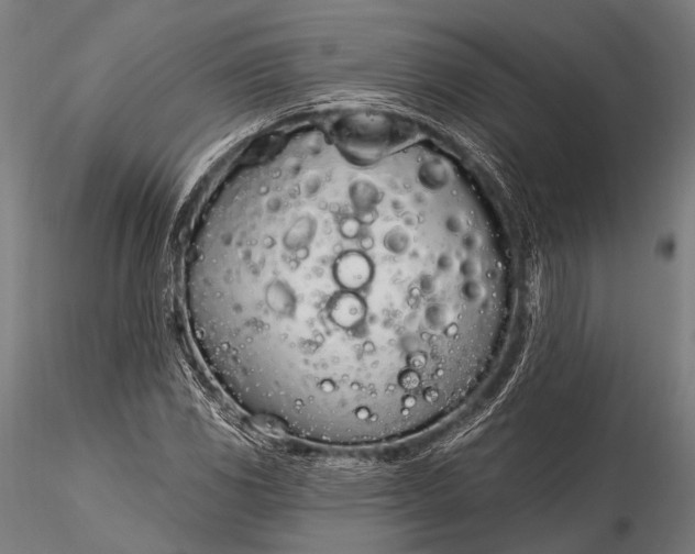 X0000116111117200912071316