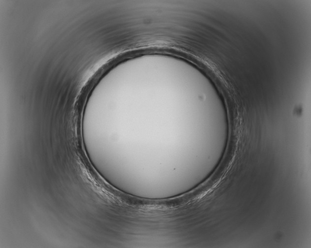 X0000116111118200912071316