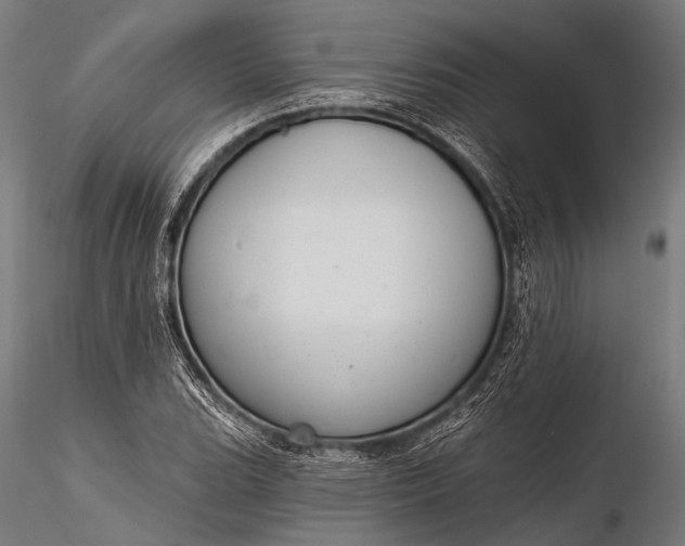 X0000116111119200912071316