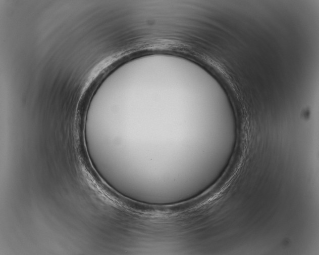 X0000116111122200912071316