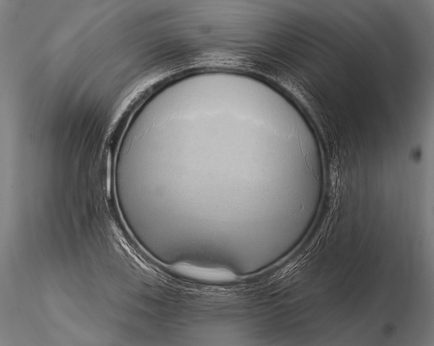 X0000116111123200912071316