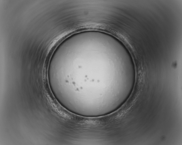 X0000116111125200912071316