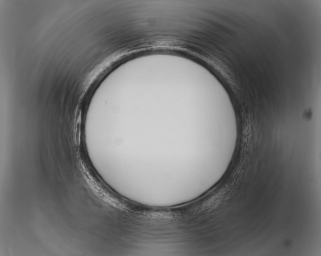 X0000116111126200912071316