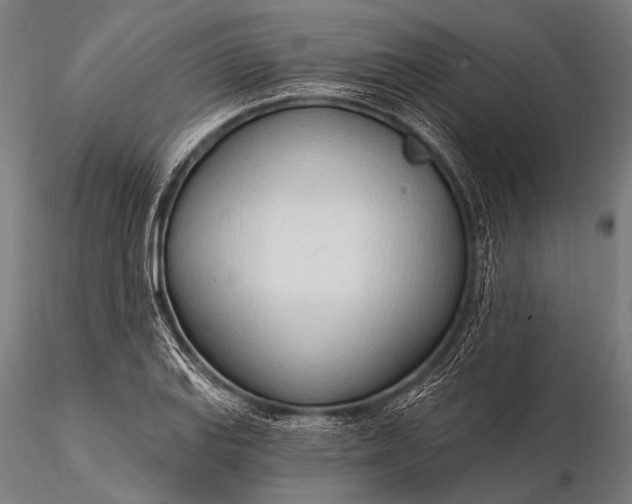 X0000116111127200912071316