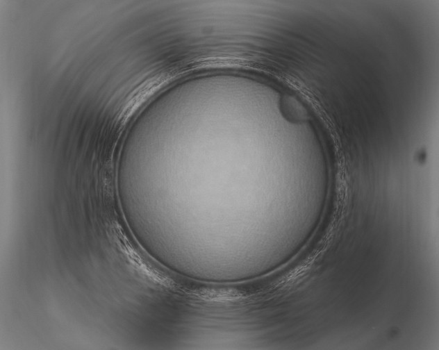 X0000116111129200912071316