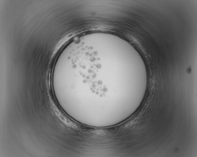 X0000116111130200912071316