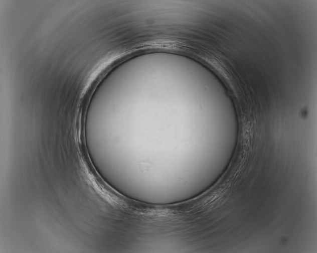 X0000116111131200912071316