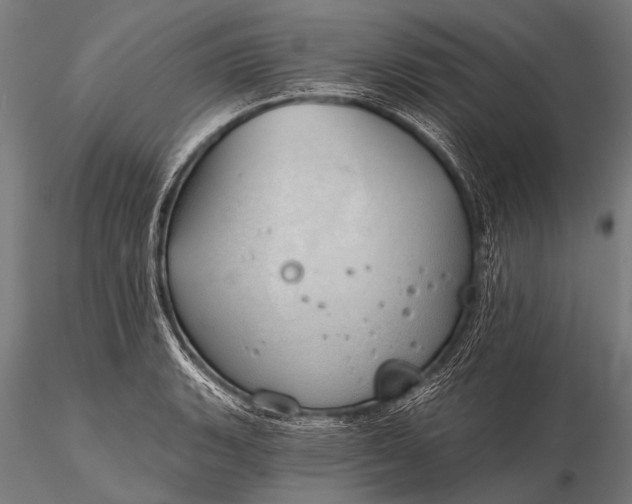 X0000116111135200912071316