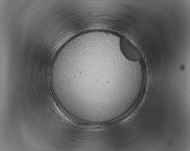 X0000116111137200912071316