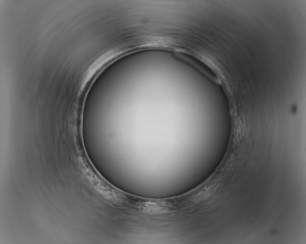 X0000116111138200912071316