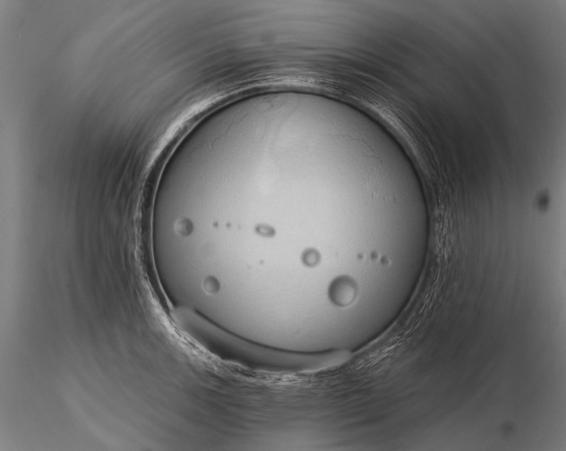 X0000116111139200912071317