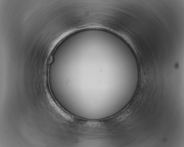 X0000116111142200912071317