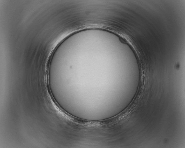 X0000116111143200912071317