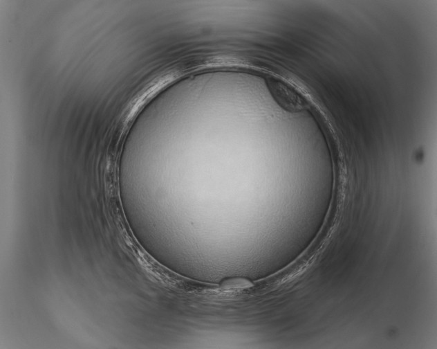 X0000116111145200912071317