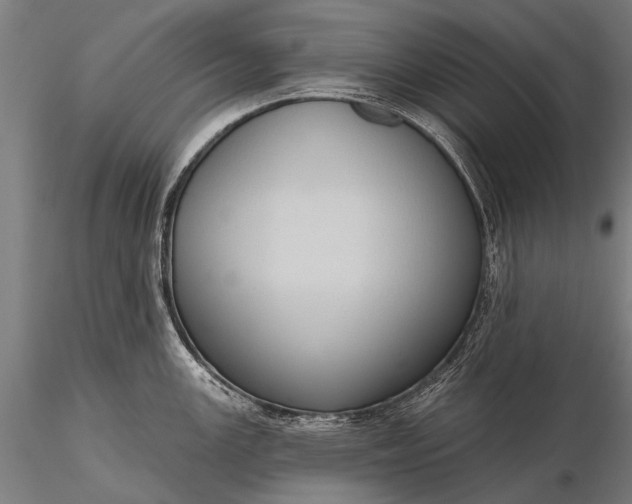 X0000116111147200912071317