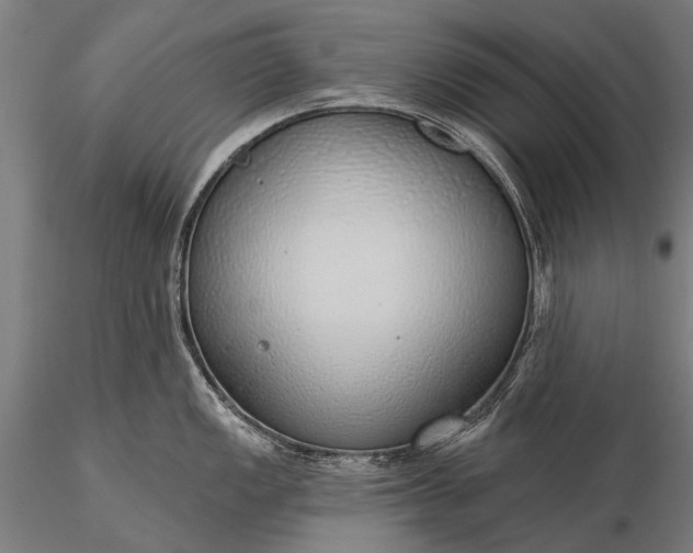 X0000116111149200912071317