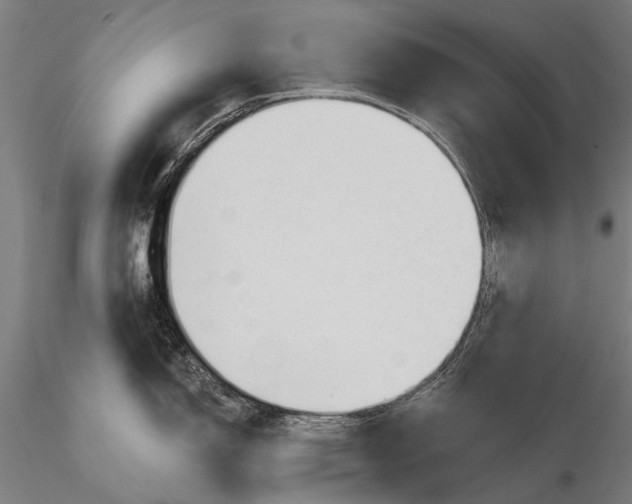 X0000116111150200912071317