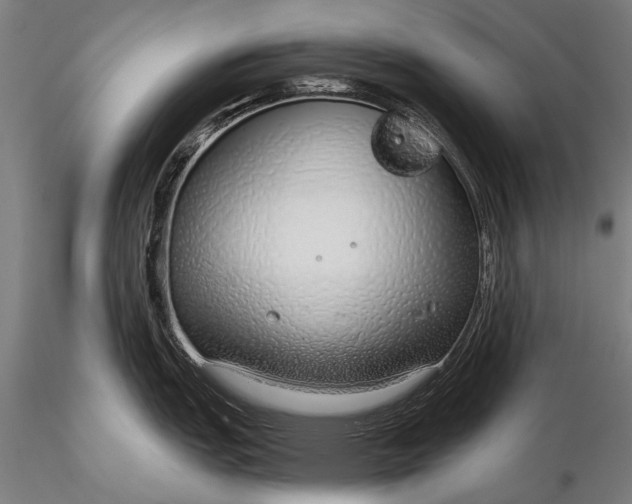 X0000116111151200912071317