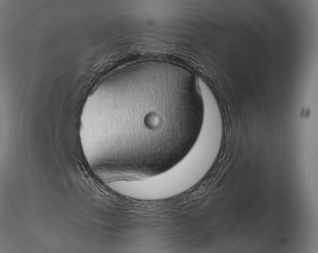 X0000116111153200912071316