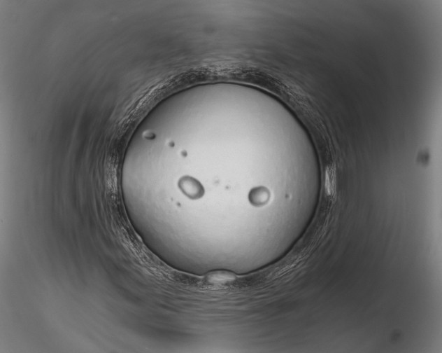 X0000116111155200912071316