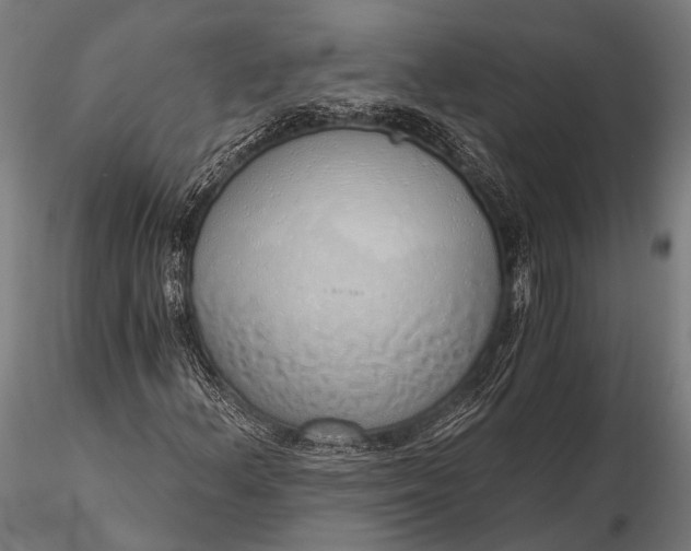 X0000116111156200912071316