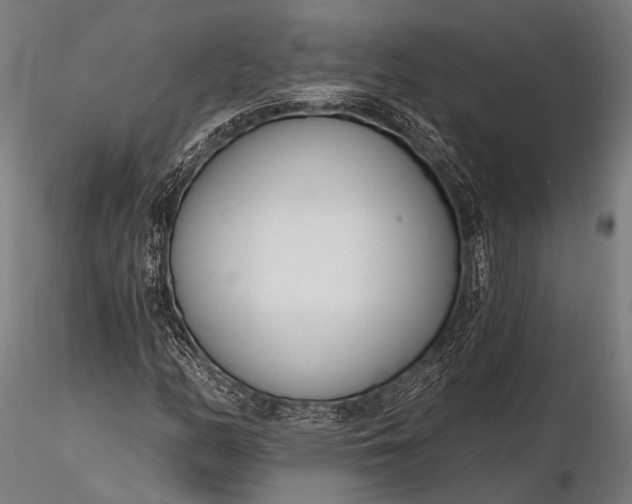 X0000116111158200912071316