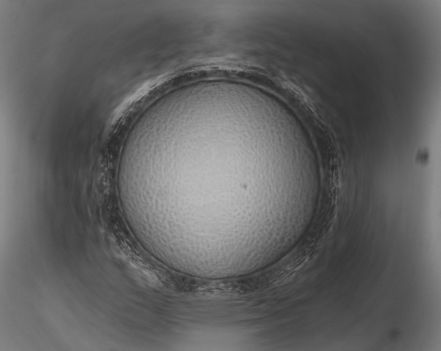 X0000116111159200912071316