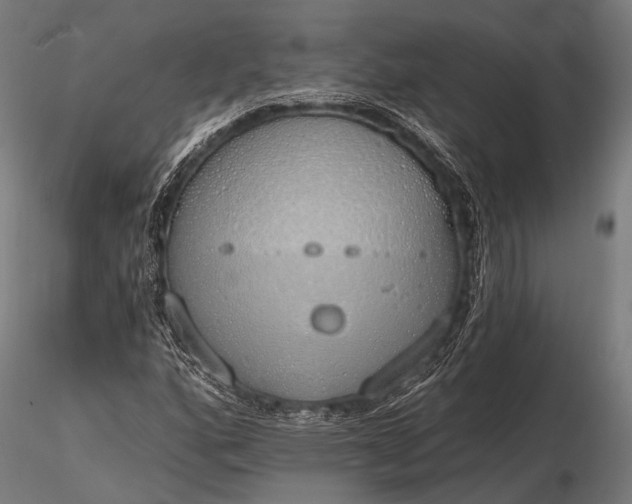 X0000116111160200912071316