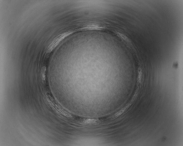 X0000116111161200912071316