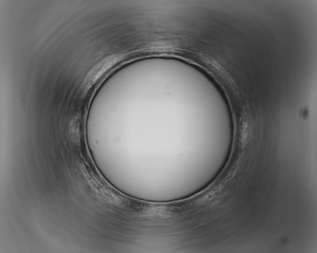 X0000116111162200912071316