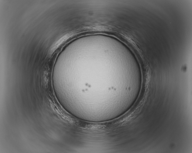 X0000116111163200912071316