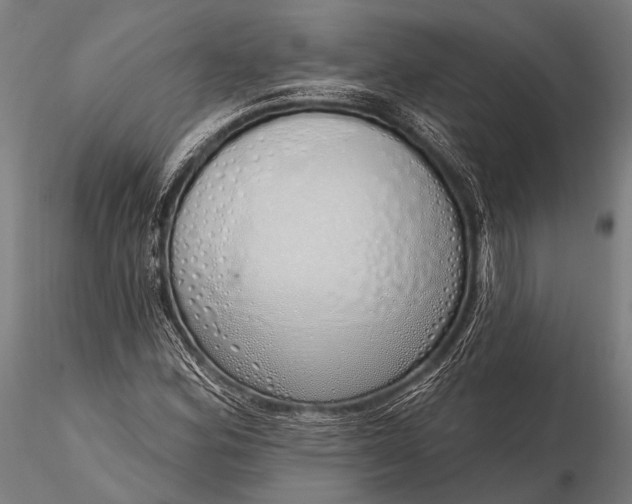 X0000116111164200912071316