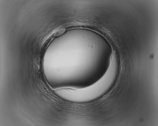 X0000116111165200912071316