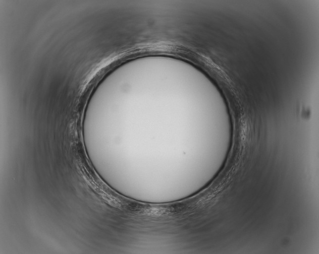 X0000116111166200912071316