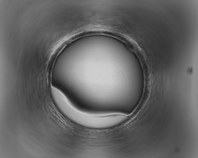 X0000116111167200912071316