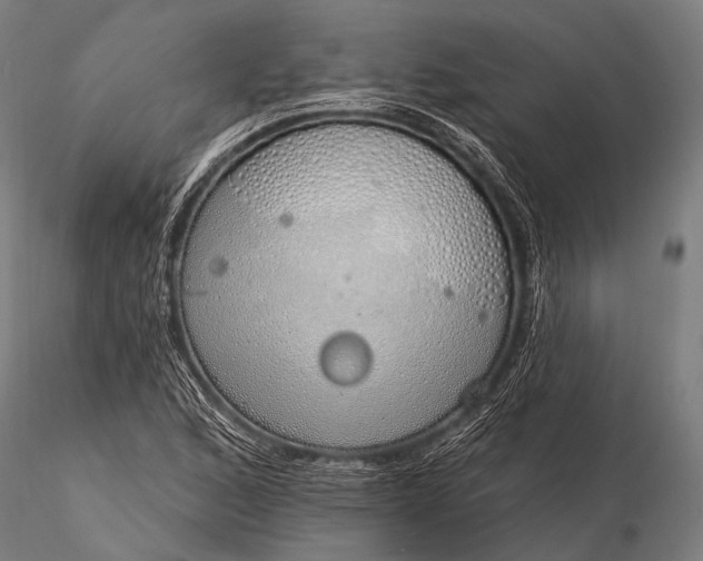 X0000116111168200912071316