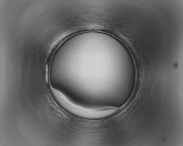 X0000116111171200912071316