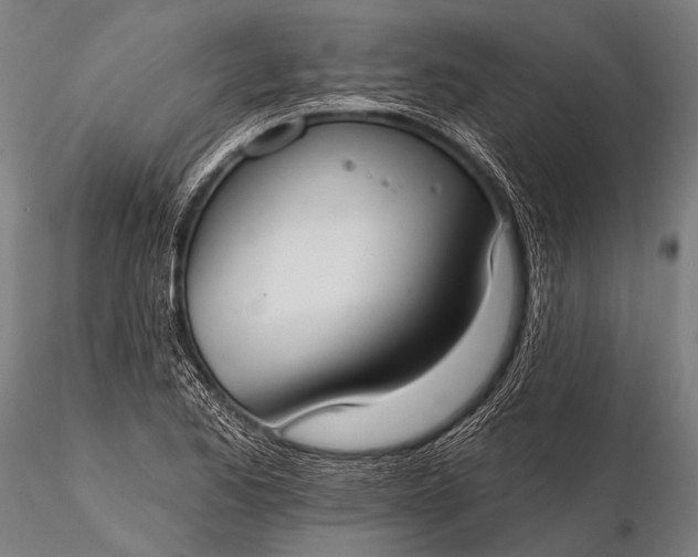 X0000116111173200912071316