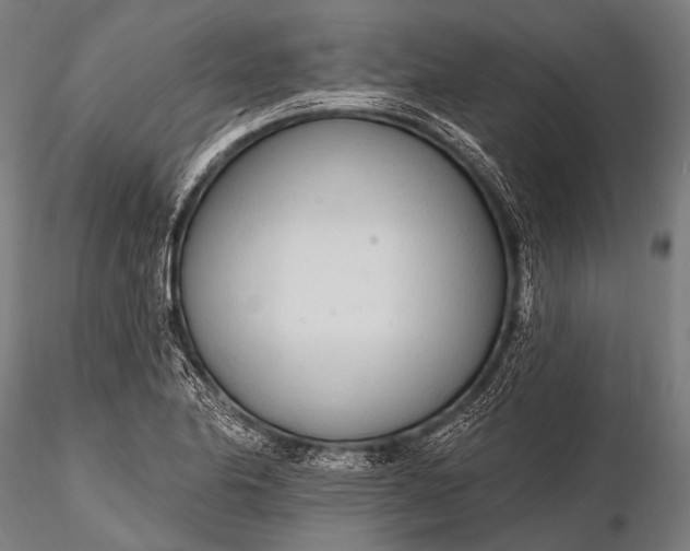 X0000116111174200912071316