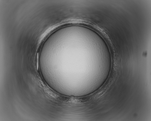 X0000116111175200912071316