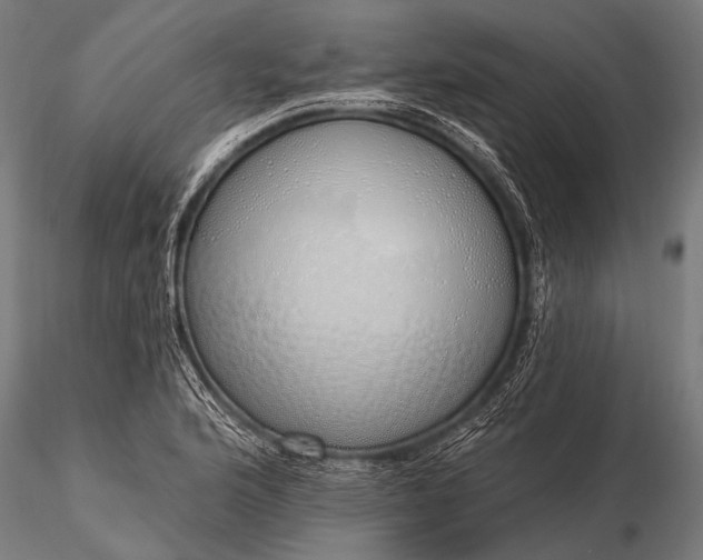 X0000116111176200912071316