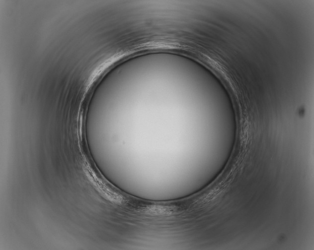 X0000116111179200912071316