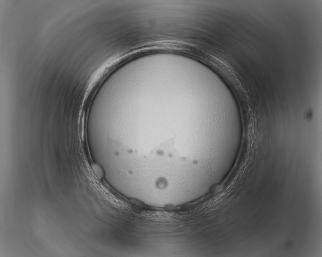 X0000116111180200912071316