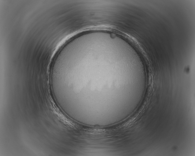 X0000116111184200912071316