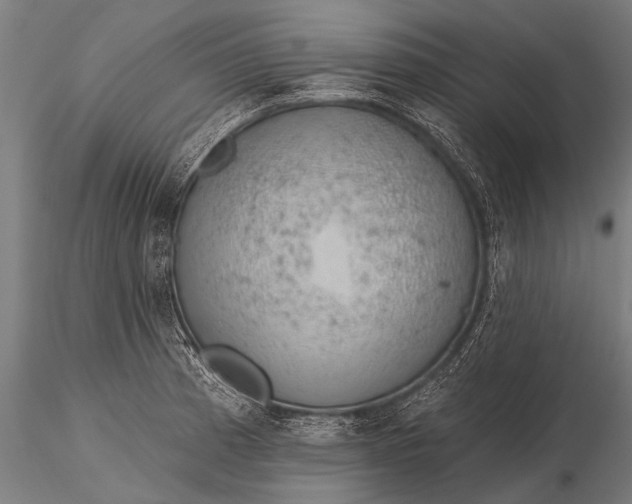 X0000116111185200912071316