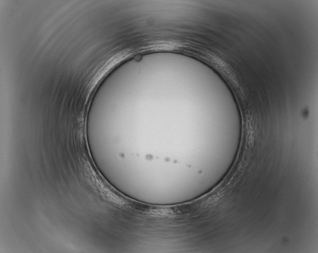 X0000116111186200912071316